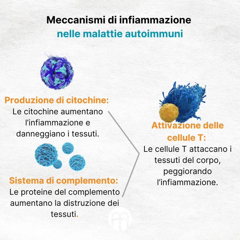 (Italština) Mechanismy zánětu při autoimunitních onemocněních